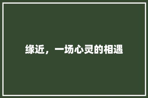 缘近,一场心灵的相遇