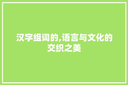 汉字组词的,语言与文化的交织之美