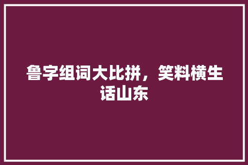 鲁字组词大比拼,笑料横生话山东 第1张 鲁字组词大比拼,笑料横生话山东 第1张