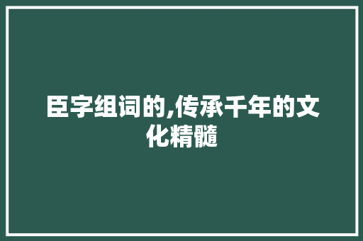 臣字组词的,传承千年的文化精髓