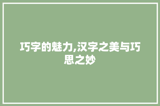 巧字的魅力,汉字之美与巧思之妙