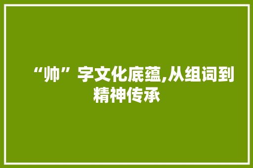 “帅”字文化底蕴,从组词到精神传承