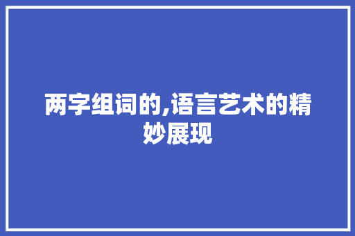 两字组词的,语言艺术的精妙展现