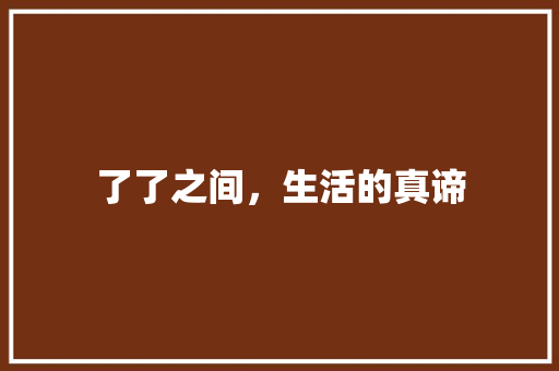 了了之间,生活的真谛