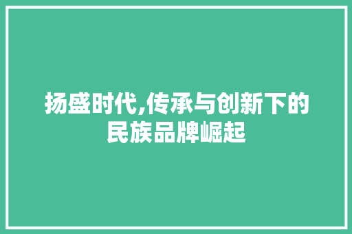 扬盛时代,传承与创新下的民族品牌崛起
