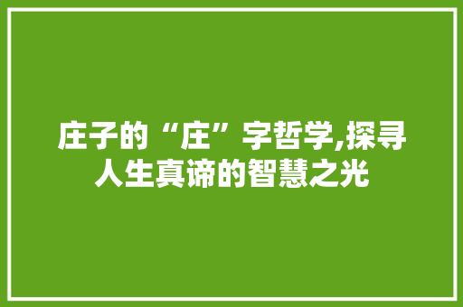 庄子的“庄”字哲学,探寻人生真谛的智慧之光  第1张