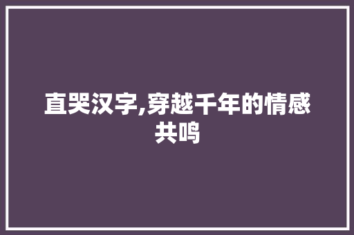直哭汉字,穿越千年的情感共鸣