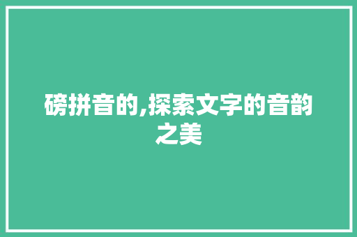 磅拼音的,探索文字的音韵之美