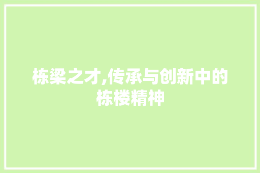 栋梁之才,传承与创新中的栋楼精神