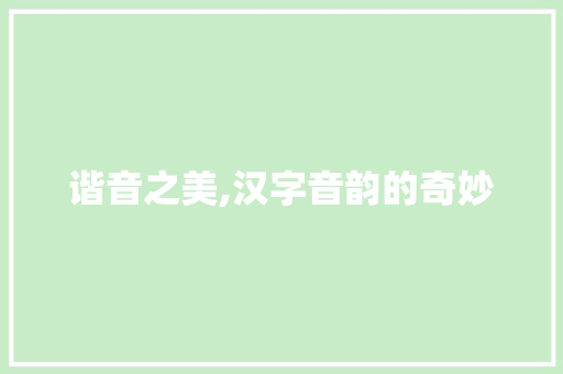 谐音之美,汉字音韵的奇妙  第1张