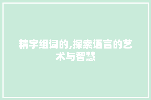 精字组词的,探索语言的艺术与智慧
