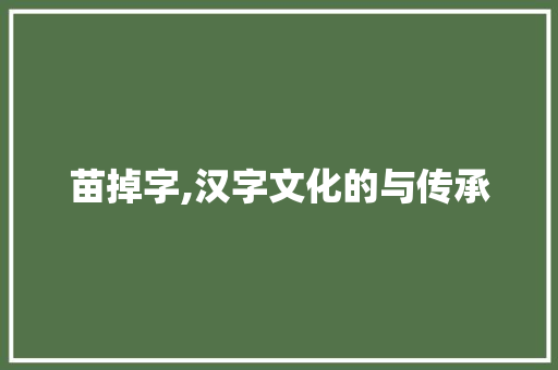苗掉字,汉字文化的与传承