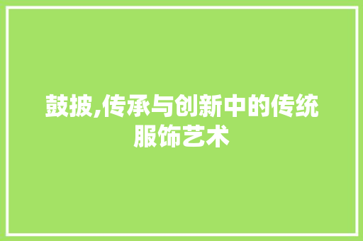 鼓披,传承与创新中的传统服饰艺术