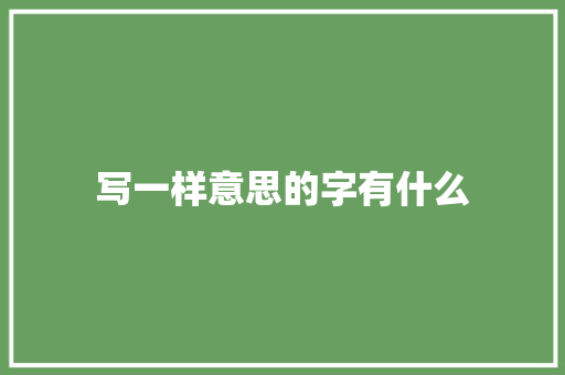 写一样意思的字有什么