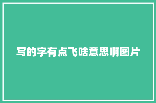 写的字有点飞啥意思啊图片