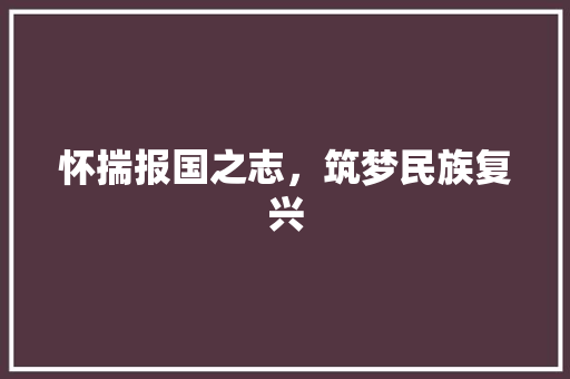 怀揣报国之志，筑梦民族复兴
