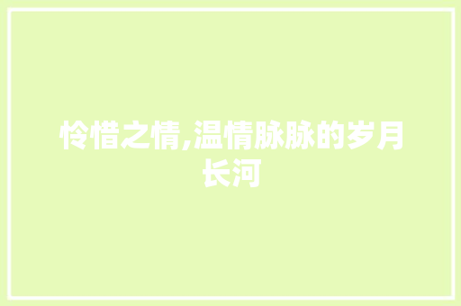 怜惜之情,温情脉脉的岁月长河