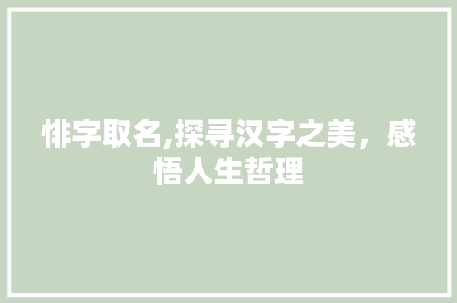 悱字取名,探寻汉字之美，感悟人生哲理