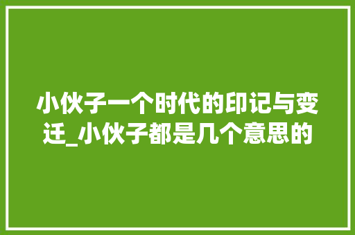 小伙子一个时代的印记与变迁_小伙子都是几个意思的字