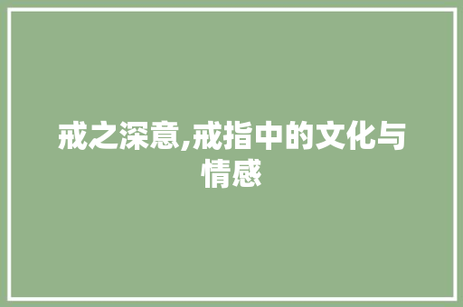 戒之深意,戒指中的文化与情感