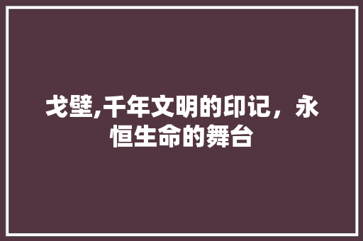 戈壁,千年文明的印记，永恒生命的舞台