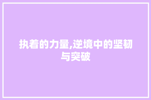执着的力量,逆境中的坚韧与突破