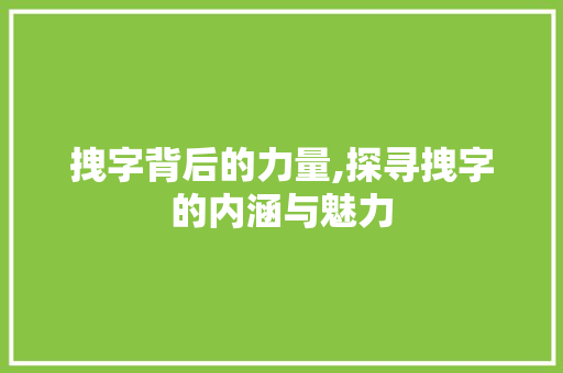 拽字背后的力量,探寻拽字的内涵与魅力