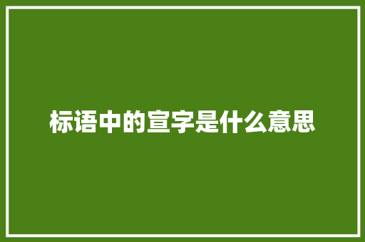 标语中的宣字是什么意思