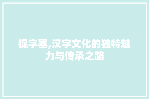 捉字塞,汉字文化的独特魅力与传承之路