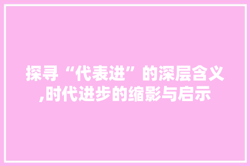 探寻“代表进”的深层含义,时代进步的缩影与启示