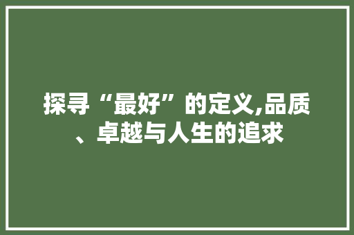 探寻“最好”的定义,品质、卓越与人生的追求 第1张 探寻“最好”的定义,品质、卓越与人生的追求 第1张