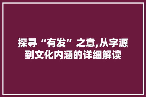 探寻“有发”之意,从字源到文化内涵的详细解读