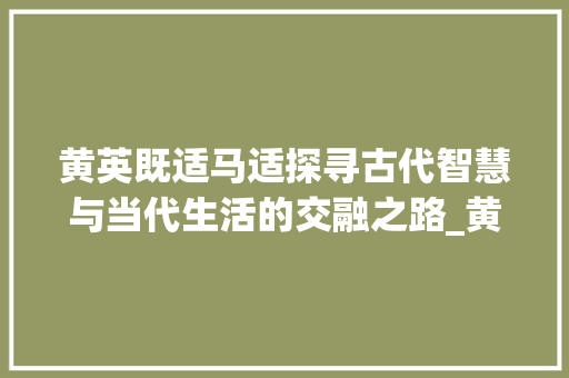 黄英既适马适探寻古代智慧与当代生活的交融之路_黄英既适马适字的意思