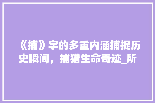《捕》字的多重内涵捕捉历史瞬间,捕猎生命奇迹_所见中捕字的意思是什么